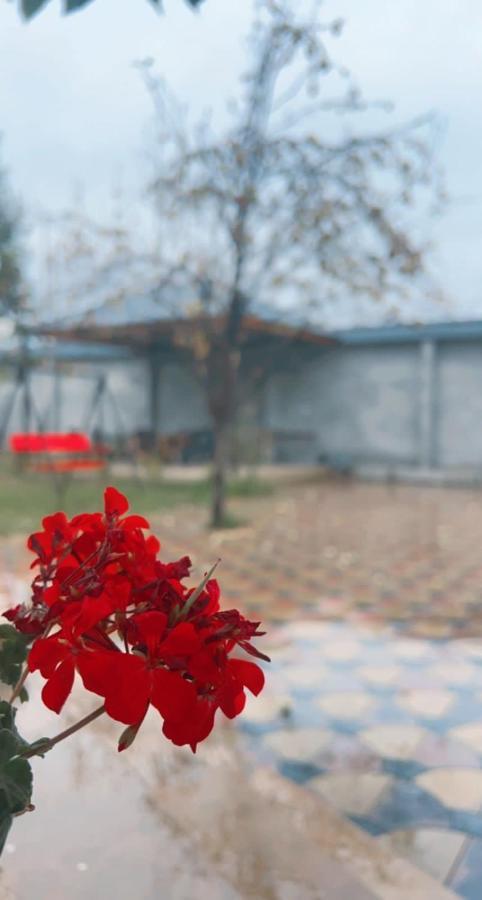 Emirest Villa กาบาลา ภายนอก รูปภาพ